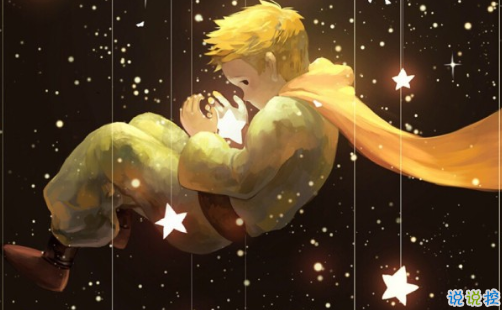 經典小王子中的有哲理而又簡單的句子 如果你被一朵花馴養(yǎng)14