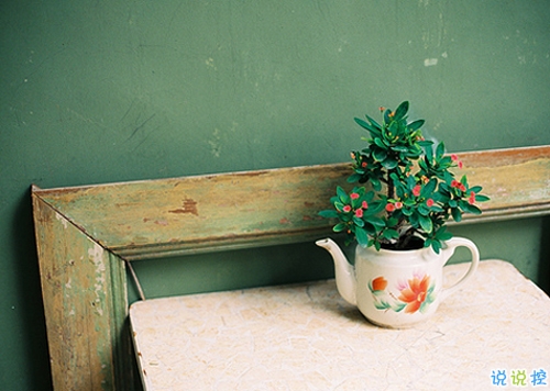 適合發(fā)說說的甜蜜的小情話帶圖片 我有三行情書只想唱給你聽13