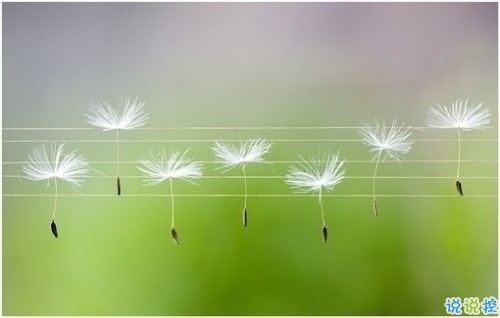 關(guān)于現(xiàn)實(shí)的人生感悟帶圖片 27條值得收藏和學(xué)習(xí)的經(jīng)典說(shuō)說(shuō)大全7