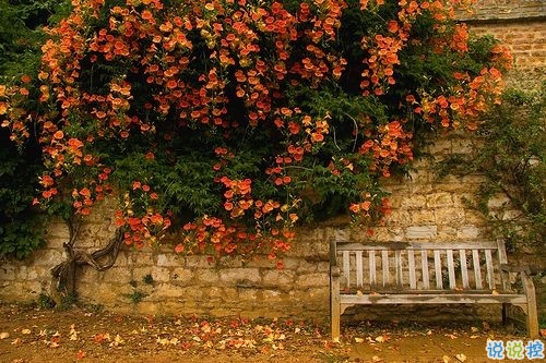 2019最新周末出去玩的心情說(shuō)說(shuō) 春暖花開外出游玩發(fā)朋友圈的說(shuō)說(shuō)1