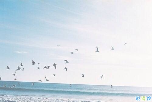 關(guān)于愛(ài)情簡(jiǎn)單又有道理的句子配圖 愛(ài)情是一個(gè)人的天荒地老1