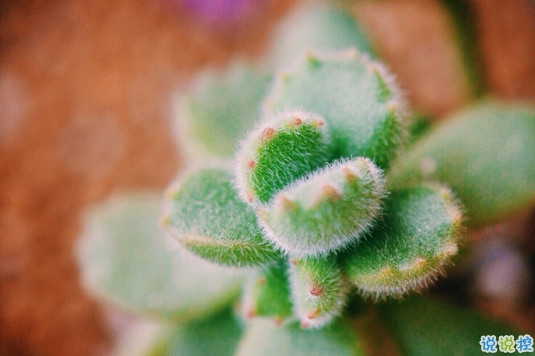 抖音比水還干凈的句子唯美又文藝 遺憾的是從沒(méi)被堅(jiān)定的選擇過(guò)2