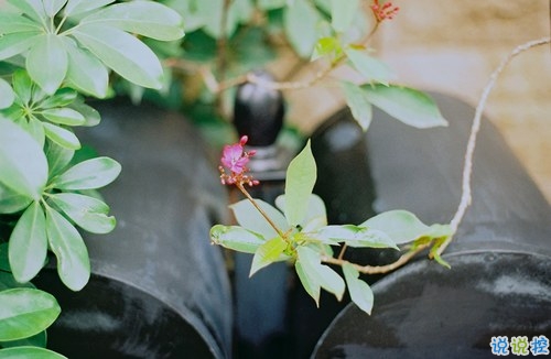 十二月你好幸福唯美說說帶圖片 2018十二月朋友圈說說帶著美好祝愿2