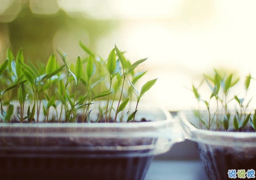 向女朋友求婚的話真實浪漫點 2019求婚句子大全簡單帶圖片1