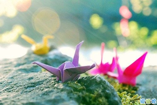 選擇放棄的傷感愛情說說帶圖片 描述對(duì)愛情感到無奈的說說7