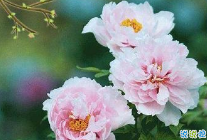 2019谷雨發(fā)微信短信的祝福語合集 谷雨節(jié)氣送祝福說說1