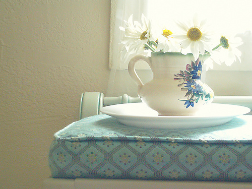 有哪些詩歌讀到后心里像開出了一朵花？15