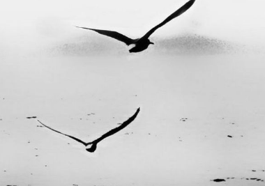 寫給自己的情書14句精選英文經(jīng)典說(shuō)說(shuō)帶圖14