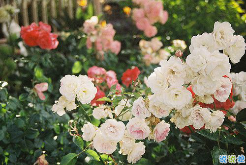 2018正能量的奮斗經(jīng)典說說配圖 簡(jiǎn)單霸氣的勵(lì)志說說201812