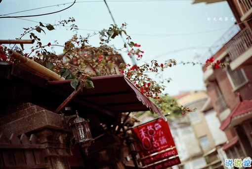 14條很美很好聽的文藝唯美說說帶圖片 森系文藝范古風說說2