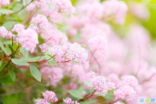 2019戳破人心的傷感說說合集 超扎心的一句話說說2