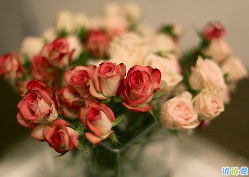 15條愛(ài)情說(shuō)說(shuō)我的心里話(huà) 愛(ài)情中最真實(shí)的感受說(shuō)說(shuō)配圖9