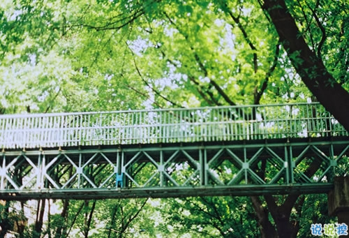 有關(guān)于戀愛(ài)的說(shuō)說(shuō)帶圖片2018最新說(shuō)說(shuō) 文字控大愛(ài)的愛(ài)情說(shuō)說(shuō)配圖1