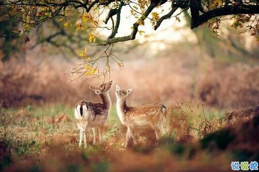 2019二月早安心語簡單一句話 二月你好正能量心情說說2