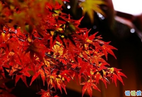 今日立秋圖片說說2018最新版 立秋的經(jīng)典說說帶圖片精選9