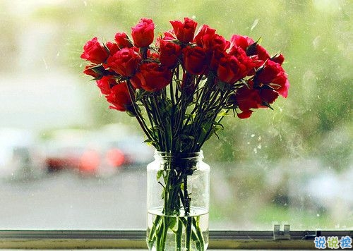 2019關(guān)于春分的微信說(shuō)說(shuō)帶圖片 春分節(jié)氣早安祝福語(yǔ)11