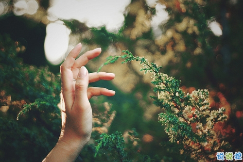 14條很美很好聽的文藝唯美說說帶圖片 森系文藝范古風說說5