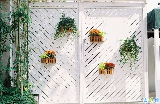 抖音上很火的31句個(gè)性說(shuō)說(shuō) 文字控喜歡的抖音上很火的個(gè)性說(shuō)說(shuō)2