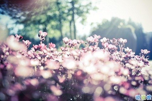 充滿少女心的浪漫愛情說說帶圖片 好聽簡約有詩意的說說合集11