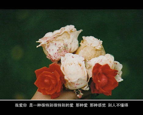 超傷感難過悲傷的愛情說說 你是我枯水年紀(jì)里的一場雨11