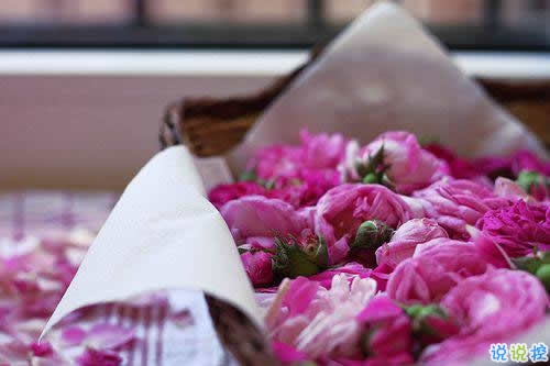 2019春分朋友圈早安祝福語帶圖片 春分唯美說說簡單一句話5