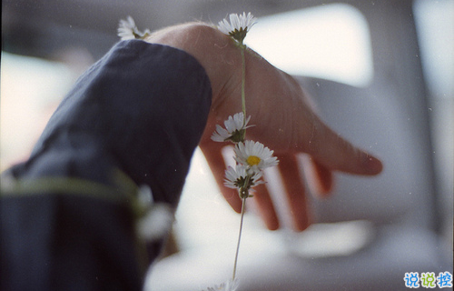 適合早晨發(fā)的說說早安心語 每天清晨叫醒你的應(yīng)該是你的夢想11