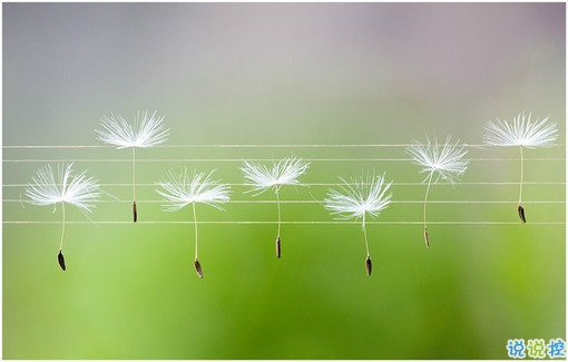 長(zhǎng)大變成熟了的經(jīng)典說(shuō)說(shuō)配圖 微信經(jīng)典說(shuō)說(shuō)現(xiàn)實(shí)人生感悟帶圖片 11