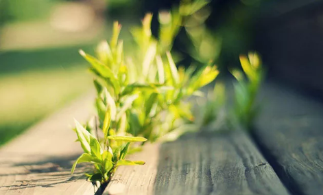 三毛經(jīng)典語錄愛情語錄大全集錦 50條三毛語錄關(guān)于愛情精選3