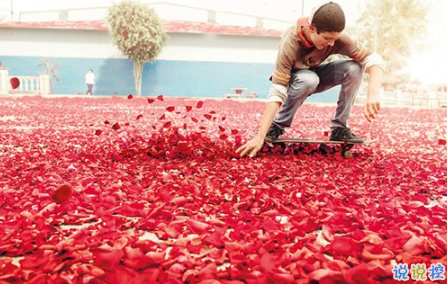 表示無聊的朋友圈說說帶圖片：無聊，是人生的一種正?，F(xiàn)象12