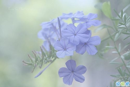 個性霸氣勵志短語說說大全 比較成熟有內(nèi)涵的個性說說15