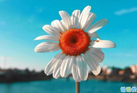 聽著很有道理的愛情說說帶圖片 關(guān)于愛情很有哲理的一句話說說16