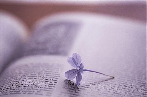 關于愛情的經(jīng)典說說 有些愛只能止于唇齒掩于歲月1