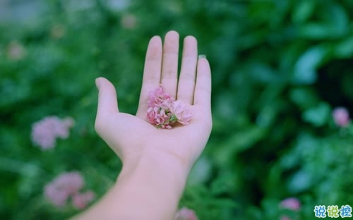 有點(diǎn)好笑又甜蜜的土味情話大合集 我是可愛(ài)的小姑娘你是可愛(ài)1