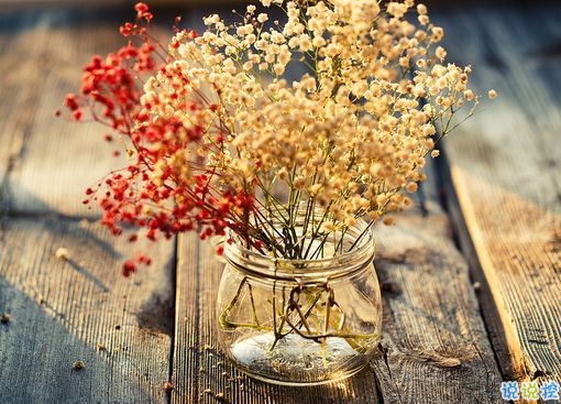 對(duì)愛一往情深的經(jīng)典說說帶圖片 文藝愛情小短句表達(dá)愛意12