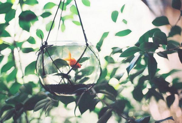 關(guān)于人生的超勵(lì)志正能量圖片說說 你優(yōu)秀了自然有對的人與你并肩12