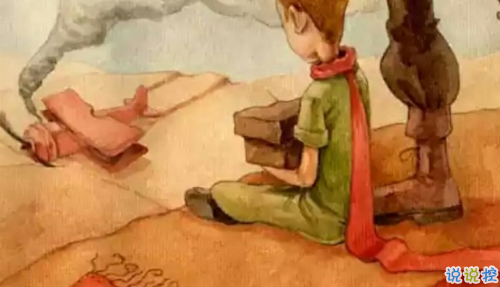 經典小王子中的有哲理而又簡單的句子 如果你被一朵花馴養(yǎng)15