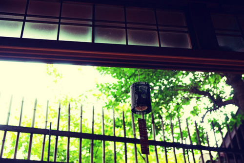 關于人生哲理和現(xiàn)實經(jīng)歷的一句話簡單精辟的說說帶圖片10