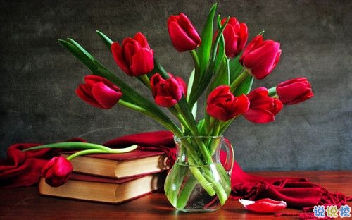 2019關(guān)于春分的微信說(shuō)說(shuō)帶圖片 春分節(jié)氣早安祝福語(yǔ)12