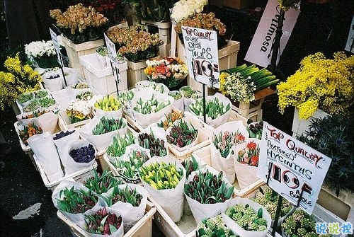 有些傷感的關(guān)于人生和成長(zhǎng)的說(shuō)說(shuō)帶圖片 生活的本質(zhì)就是離別10