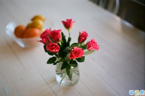 微信朋友圈愛情說說帶圖片 陽(yáng)光灑在身上像極了愛情1