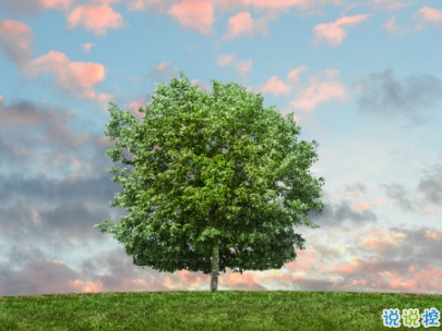 2019植樹節(jié)微信說說帶圖片 適合植樹節(jié)發(fā)的的心情說說短語4