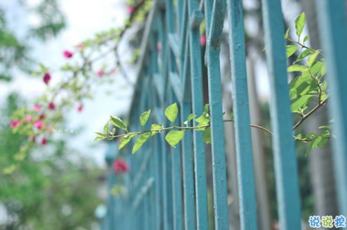 青春年少慢慢成長變得成熟的個性說說帶圖片 2018很經(jīng)典的成熟個性說說1