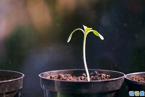 2019朋友圈經(jīng)典說(shuō)說(shuō)大全 人生路上這些道理你必須懂得2