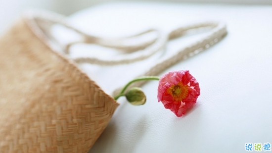 哪句歌詞讓你熱淚盈眶圖片帶字 從前從前有個人愛你很久8