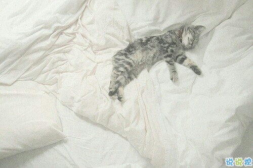 2018朋友圈很火的走心勵志說說帶圖片 很用心的正能量勵志說說14