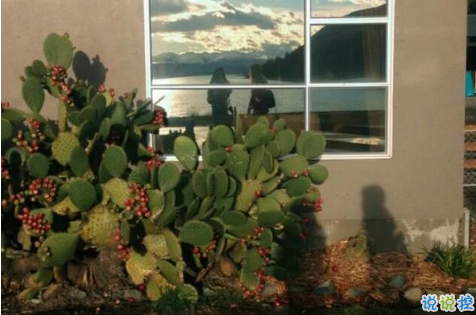 16條適合發(fā)朋友圈的旅行句子配圖 旅行句子表達心情短語最新版11