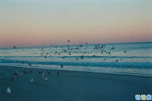 簡單而又唯美有哲理的英文說說帶圖片 你醒在別人的夢里14