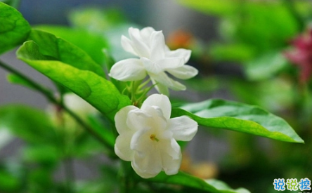 表示無聊的朋友圈說說帶圖片：無聊，是人生的一種正?，F(xiàn)象13