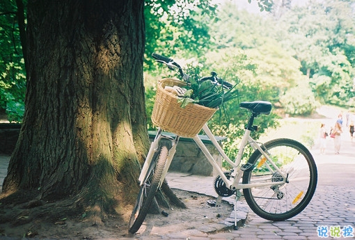 一個(gè)人獨(dú)處時(shí)的孤獨(dú)寂寞的說說帶圖片 你有看過凌晨三點(diǎn)的星星嗎8