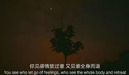 傷感句子表達心情失落長句 無人待我情自深無人伴我立黃昏3